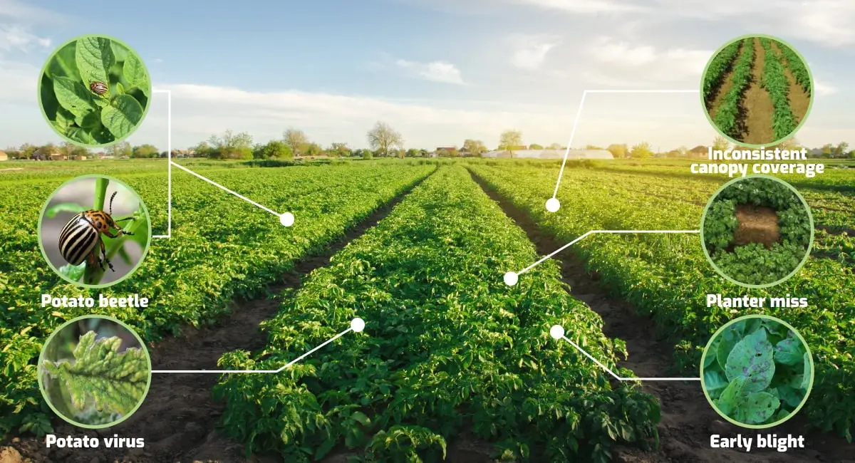 Practical Remote Sensing in Agricultural in Different Sites